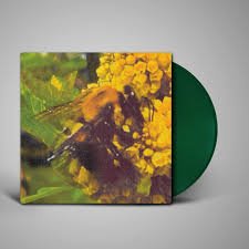 BRONCHO - NATURAL PLEASURE Vinyl Record