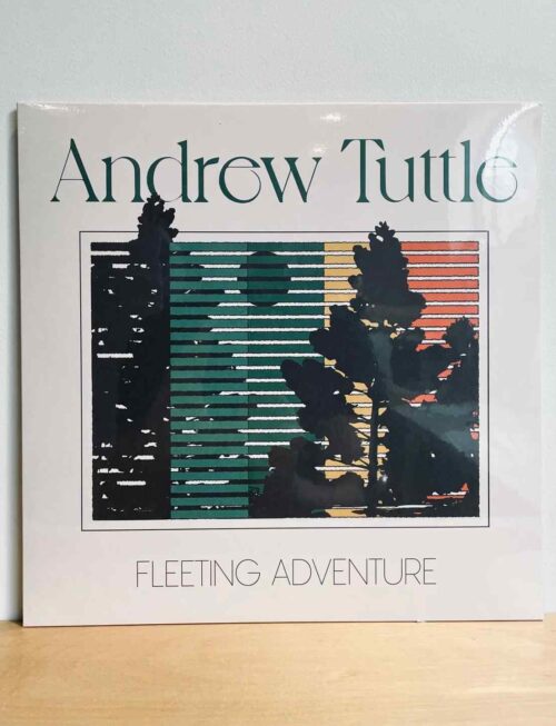 ANDREW TUTTLE - FLEETING ADVENTURE Vinyl Record