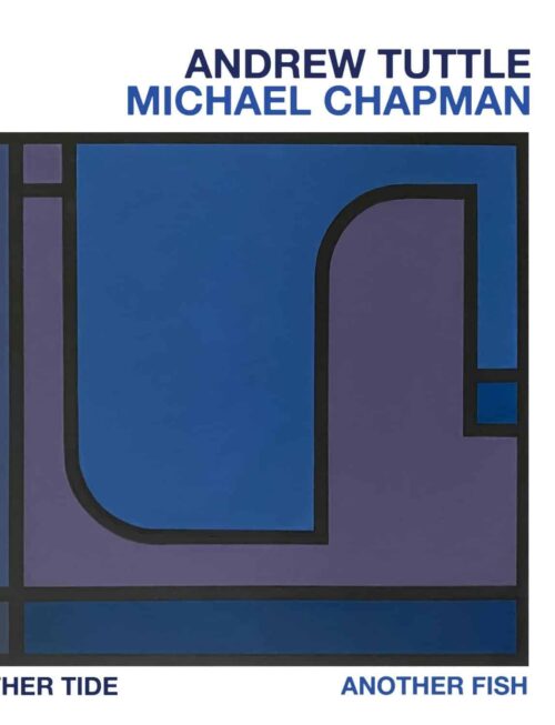 ANDREW TUTTLE / MICHAEL CHAPMAN - Another Tide / Another Fish Vinyl Record