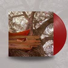 BACKSEAT LOVERS - WAITING TO SPILL (ANNIVERSARY Vinyl Record