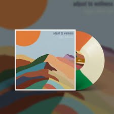 BIGGER BETTER SUN - ADJUST TO WELLNESS Vinyl Record