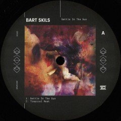 BART SKILLS - SETTLE IN THE SUN Vinyl Record
