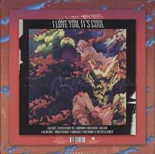 BEAR IN HEAVEN - I LOVE YOU, IT'S COOL Vinyl Record