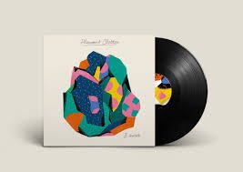 B VISIBLE - Pleasant Clutter Vinyl Record