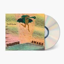 AWAKEBEATEN - THUNDER$TROKE Vinyl Record