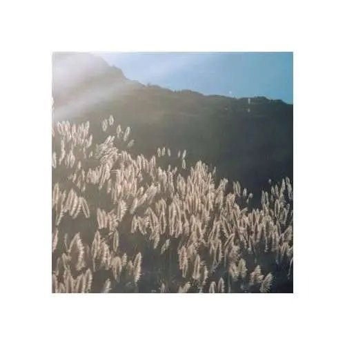 BLITHE SONS - GREAT ORTHOCHROMATIC WHEEL Vinyl Record