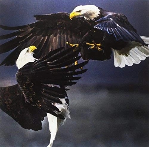 VITA BERGEN - Disconnection Vinyl Record