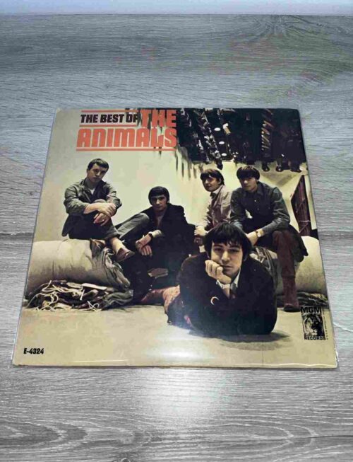 VIOLATORS OF THE ENGLISH LANGUAGE - Violators Of The English Language Vinyl Record