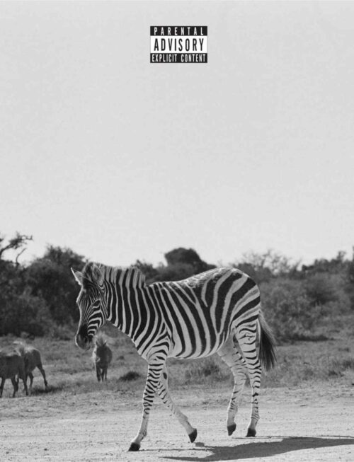 LOUIS VI - Earthling Vinyl Record