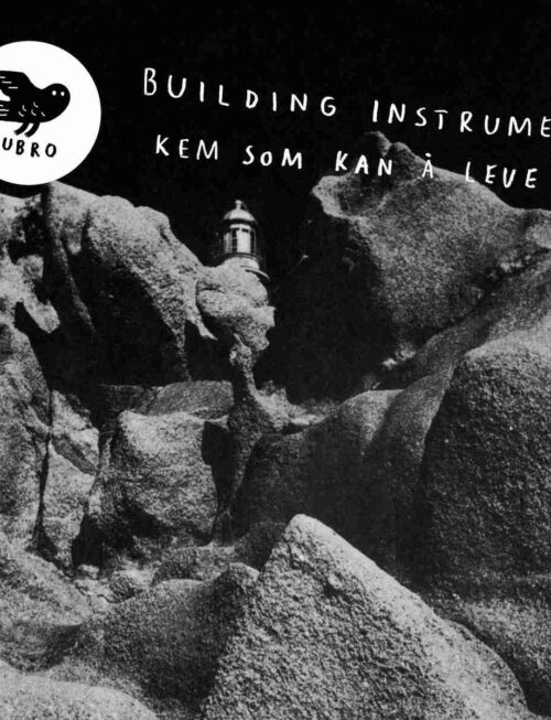 BUILDING INSTRUMENT - KEM SOM KAN ?• LEVE Vinyl Record