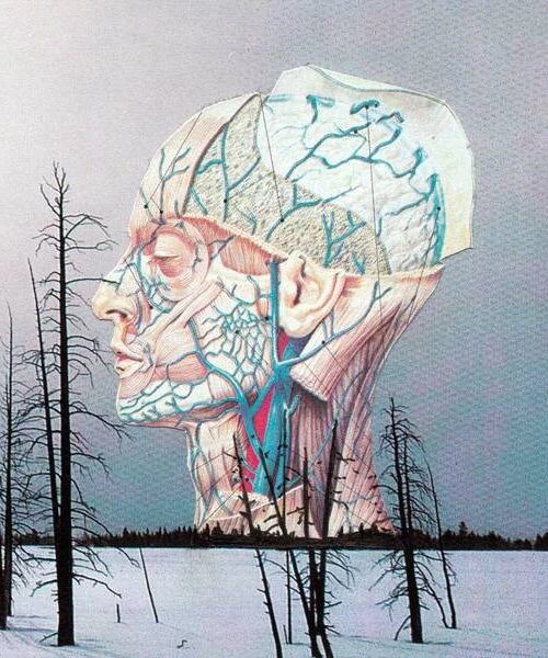 LOW - Songs For A Dead Pilot Vinyl Record