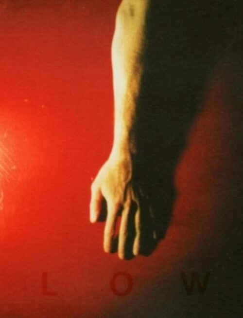 LOW - TRUST Vinyl Record