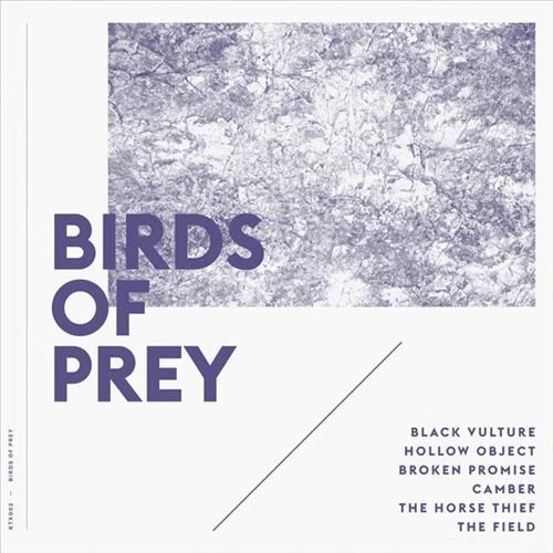 BIRDS OF PREY - Birds Of Prey Vinyl Record