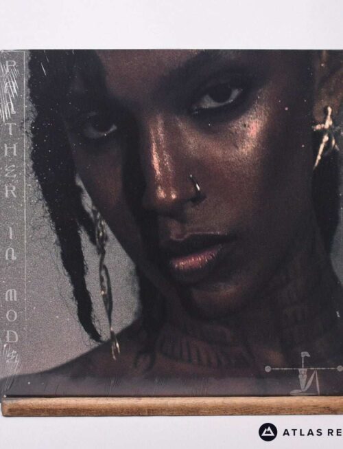 Alewya - Panther in Mode Vinyl Record