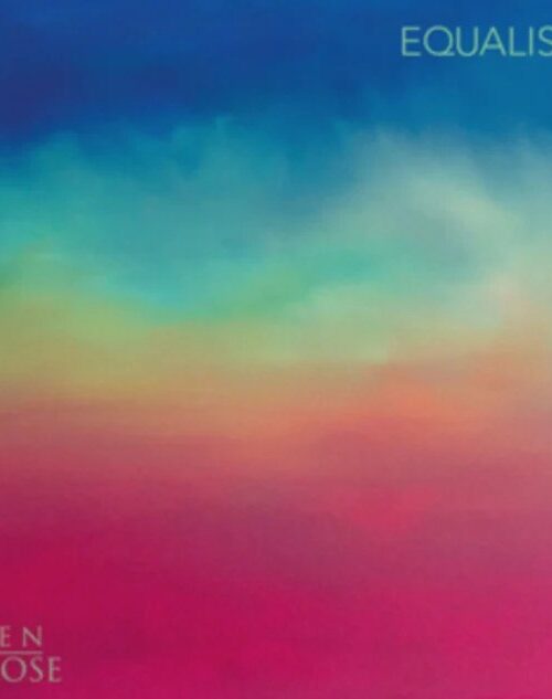 HEN HOOSE - Equaliser Vinyl Record