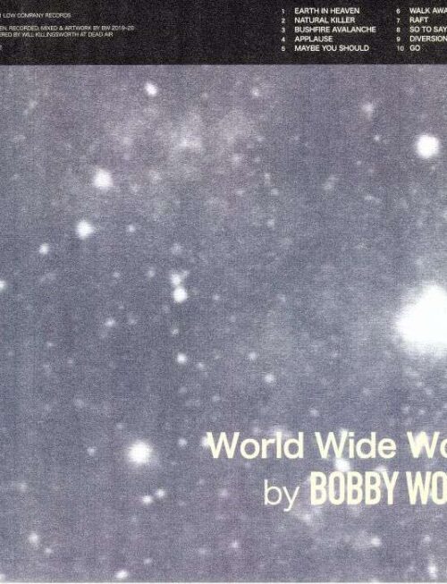 BOBBY WOULD - WORLD WIDE WORLD Vinyl Record