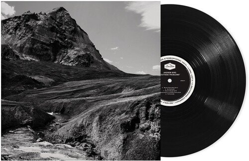 Andrew Bird - Outside Problems Vinyl Record