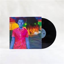 HAYDEN PEDIGO - THE HAPPIEST TIMES I EVER IGNORED Vinyl Record