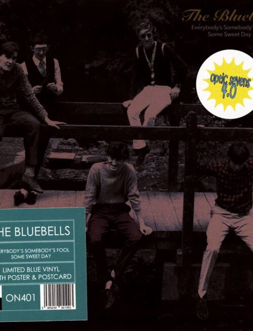 BLUEBELLS THE - EVERYBODYS SOMEBODYS FOOL Vinyl Record