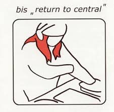 Bis - Return To Central 20th Anniversary (2LP Clear) Vinyl Record