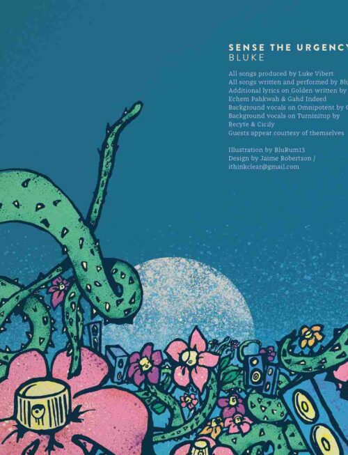 BLUKE - Sense The Urgency Vinyl Record