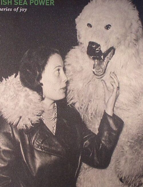 BRITISH SEA POWER - MACHINERIES OF JOY Vinyl Record