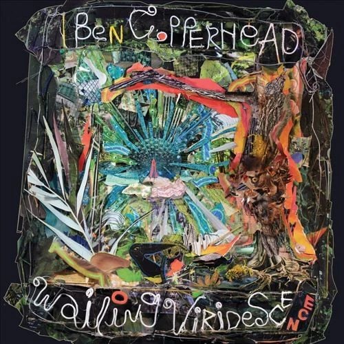 BEN COPPERHEAD - WAILING VIRIDESCENCE Vinyl Record