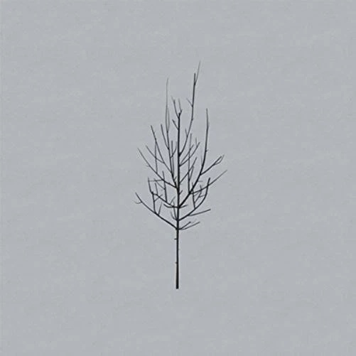 LOW - ONES AND SIXES Vinyl Record