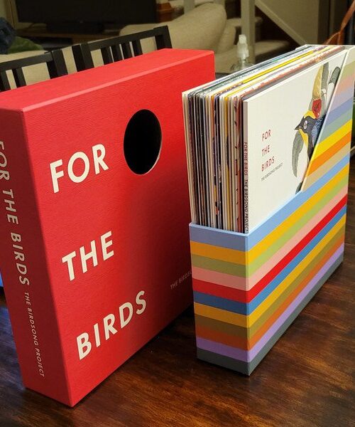 BIRD SONG PROJECTTHE - FOR THE BIRDS THE BI Vinyl Record