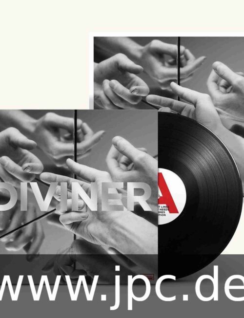 HAYDEN THORPE - DIVINER Vinyl Record