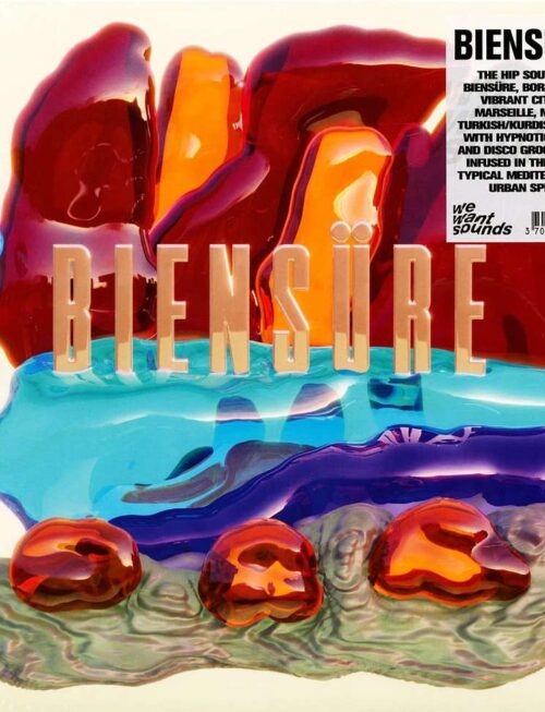 Biensure - Biensure Vinyl Record