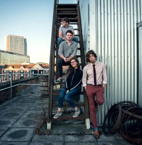 BRAND NEW FRIEND - SEATBELTS FOR AEROPLANES Vinyl Record