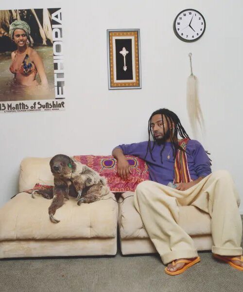 AMIN?© - 13 MONTHS OF SUNSHINE Vinyl Record