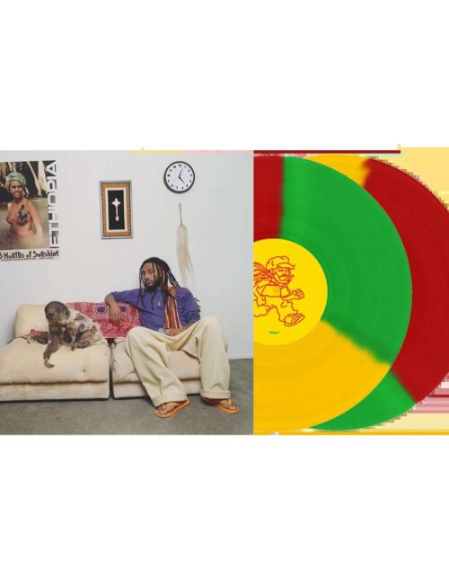 AMIN?© - 13 MONTHS OF SUNSHINE Vinyl Record