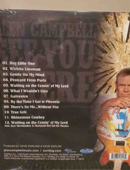 CAMPBELLGLEN - SEE YOU THERE Vinyl Record