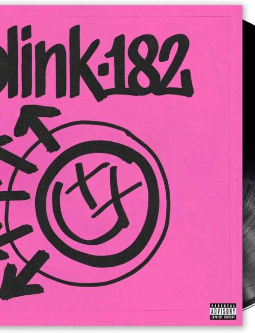 blink-182 - ONE MORE TIME... Vinyl Record