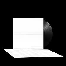 FOO FIGHTERS - But Here We Are Vinyl Record