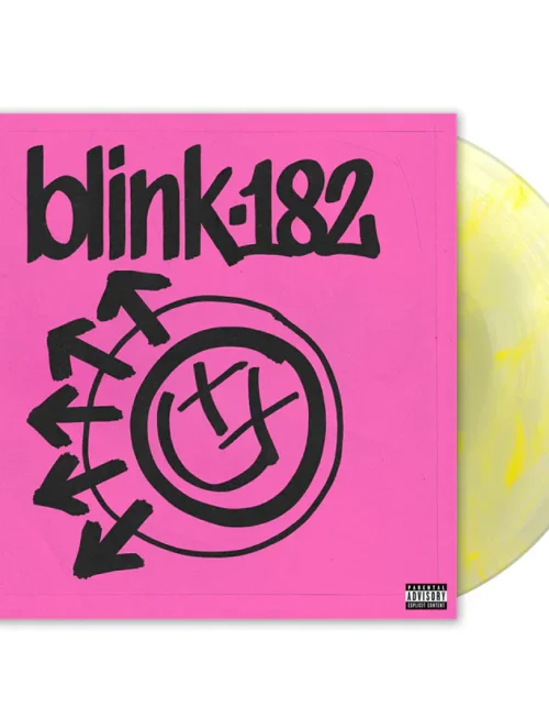blink-182 - ONE MORE TIME... Vinyl Record