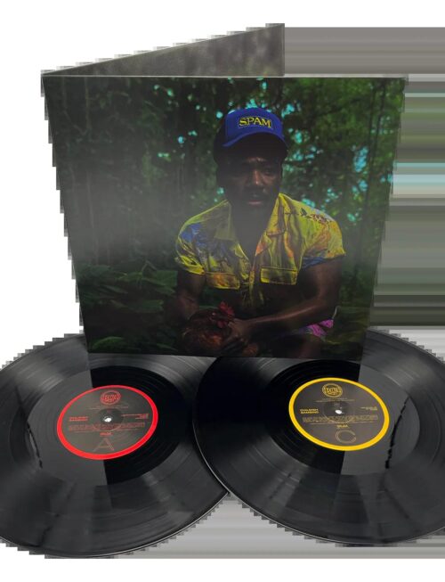 Childish Gambino - Bando Stone and The New World Vinyl Record