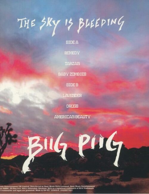 Biig Piig - 0.465972222222222 Vinyl Record