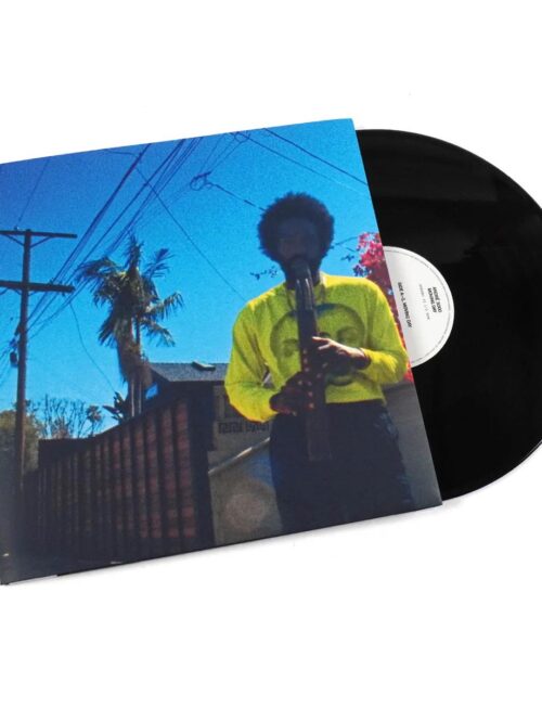 Andre 3000 - Moving Day Vinyl Record