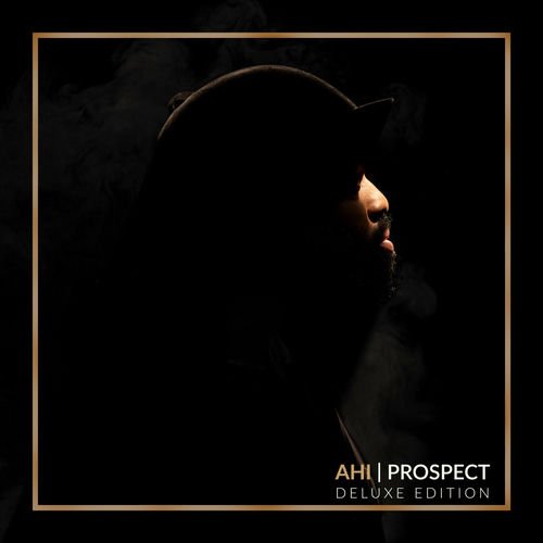AHI - PROSPECT Vinyl Record