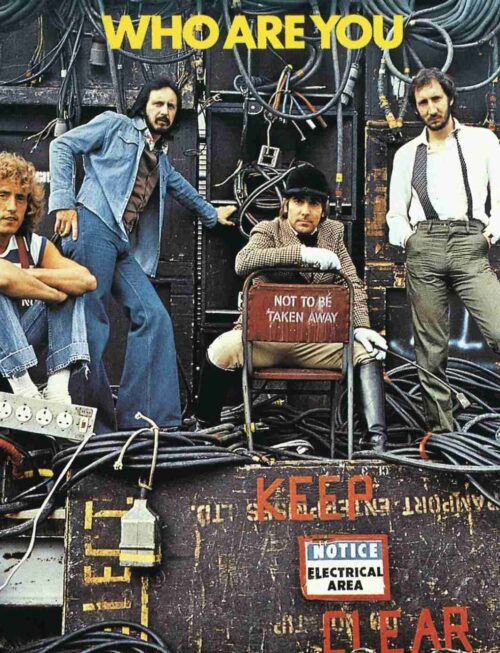 The Who - Who Are You Vinyl Record