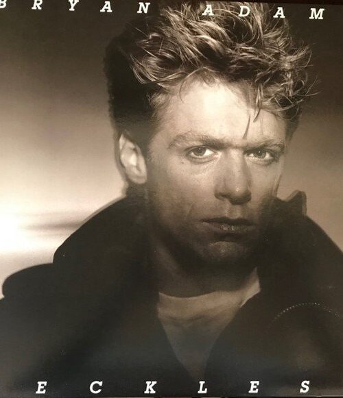 Bryan Adams - Reckless Vinyl Record