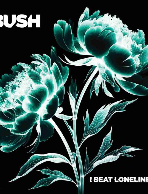Bush - I Beat Loneliness Vinyl Record
