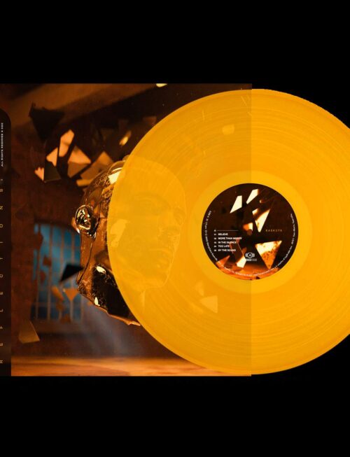 Caskets - Reflections Vinyl Record