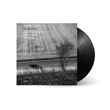AVISHAI COHEN - NAKED TRUTH Vinyl Record