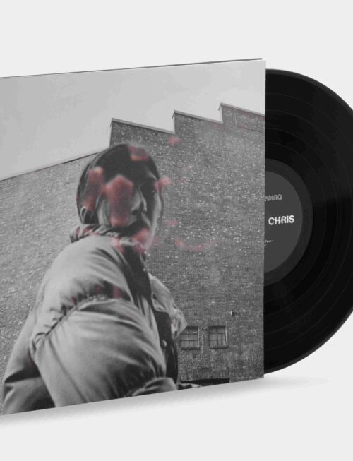 ALDOUS HARDING - WARM CHRIS Vinyl Record