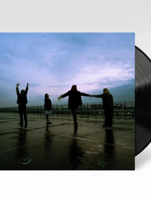 Crawlers - The Mess We Seem To Make Vinyl Record