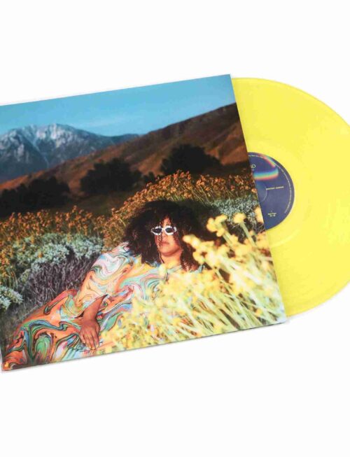 Brittany Howard - What Now Vinyl Record